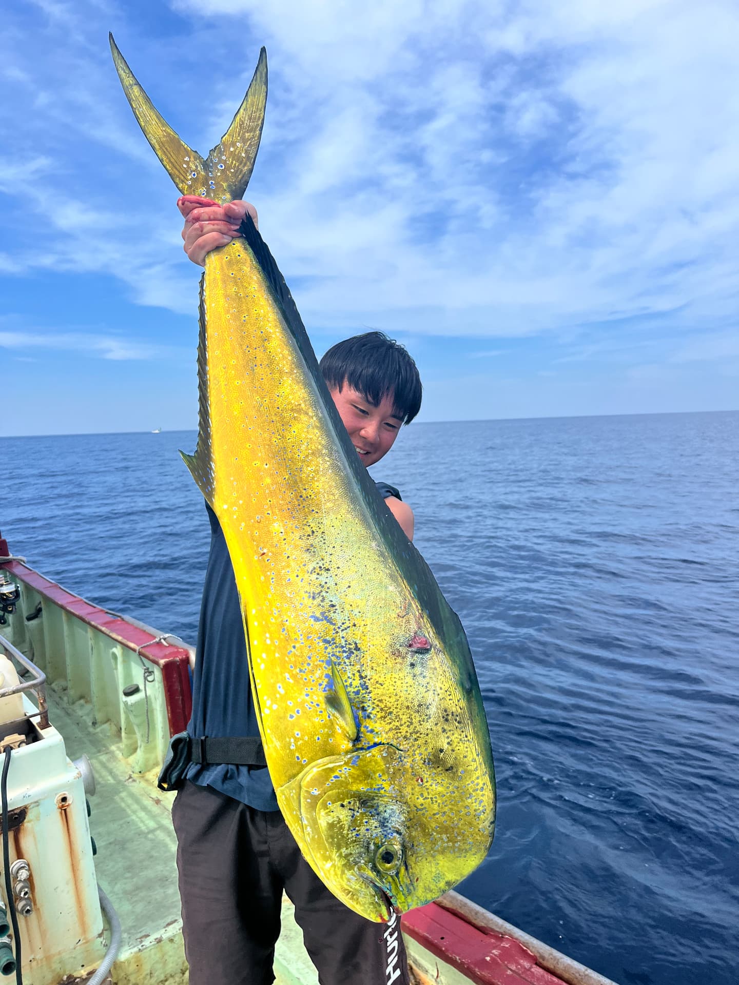 高知沖で釣れた大型のシイラ