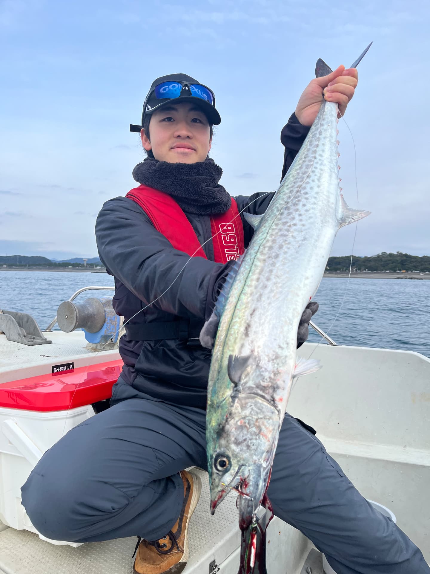 浦戸湾沖で釣れたサワラ