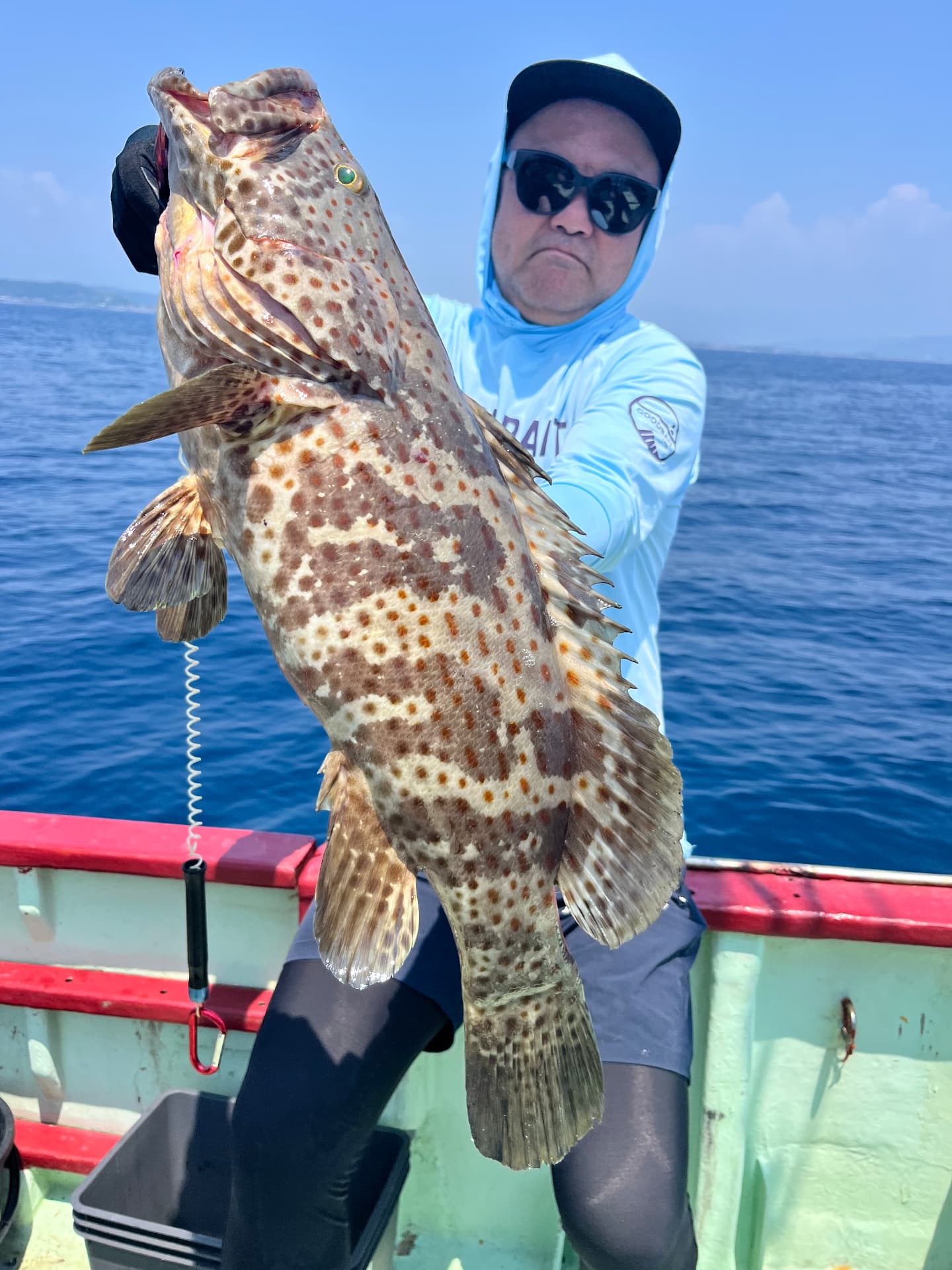 落とし込みで釣れた大型のオオモンハタ