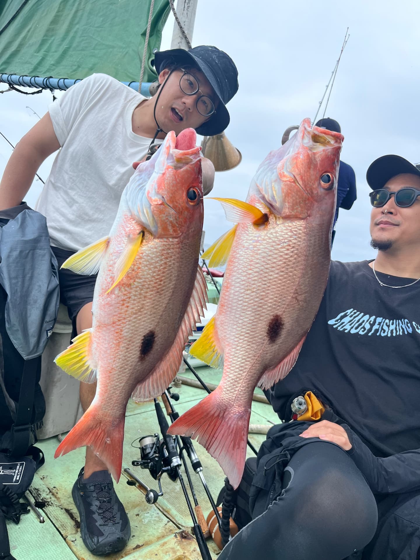 SLJで釣れたヒメダイ2匹